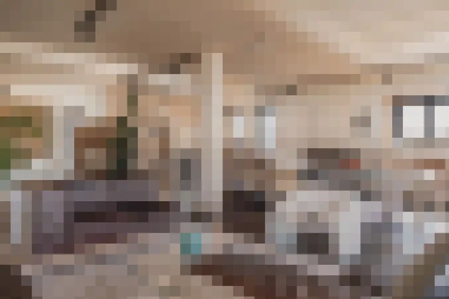 Gouwe 39 Hoogwoud thumbnail 8