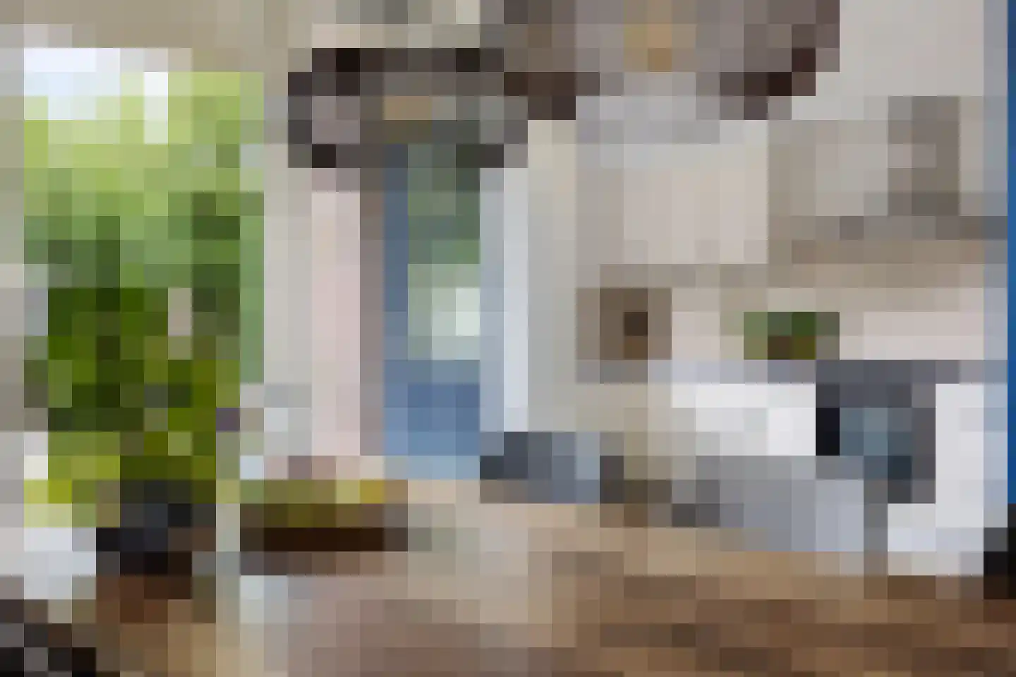 Gouwe 4 Assen thumbnail 14