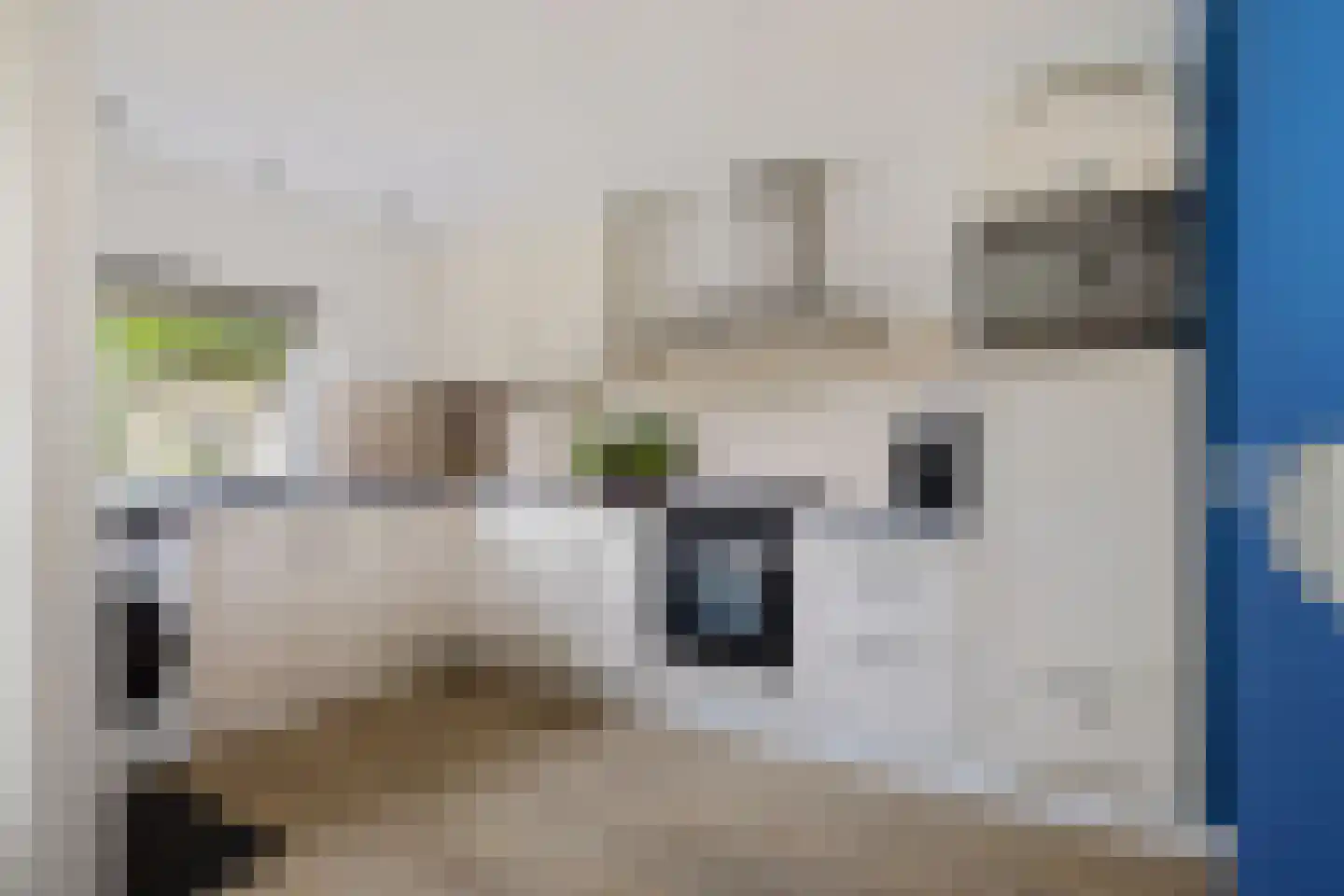 Gouwe 4 Assen thumbnail 15