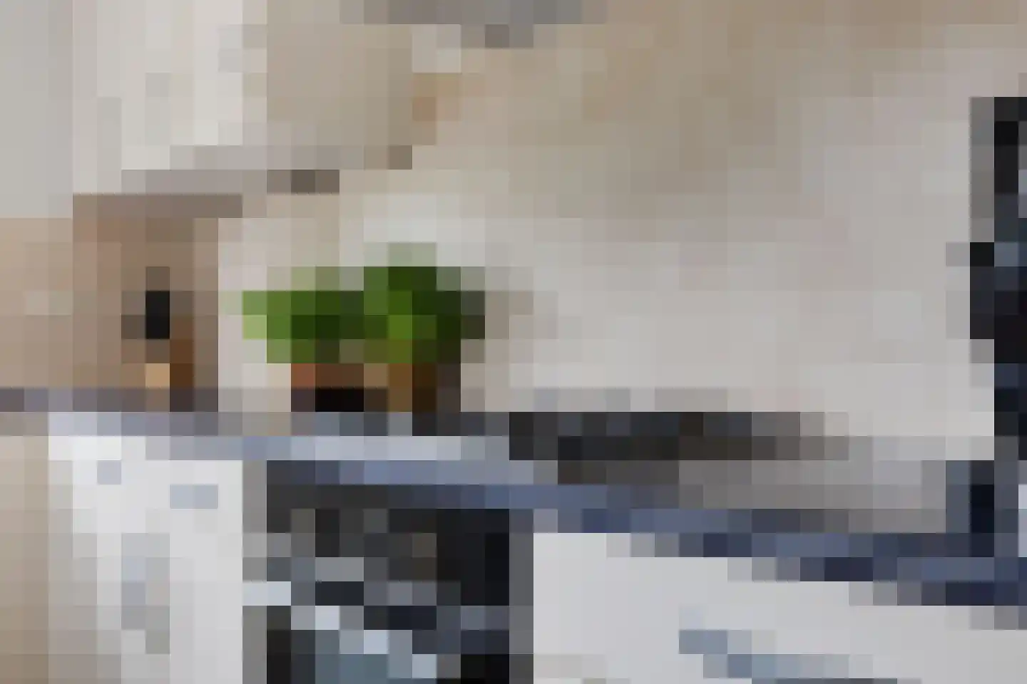 Gouwe 4 Assen thumbnail 16