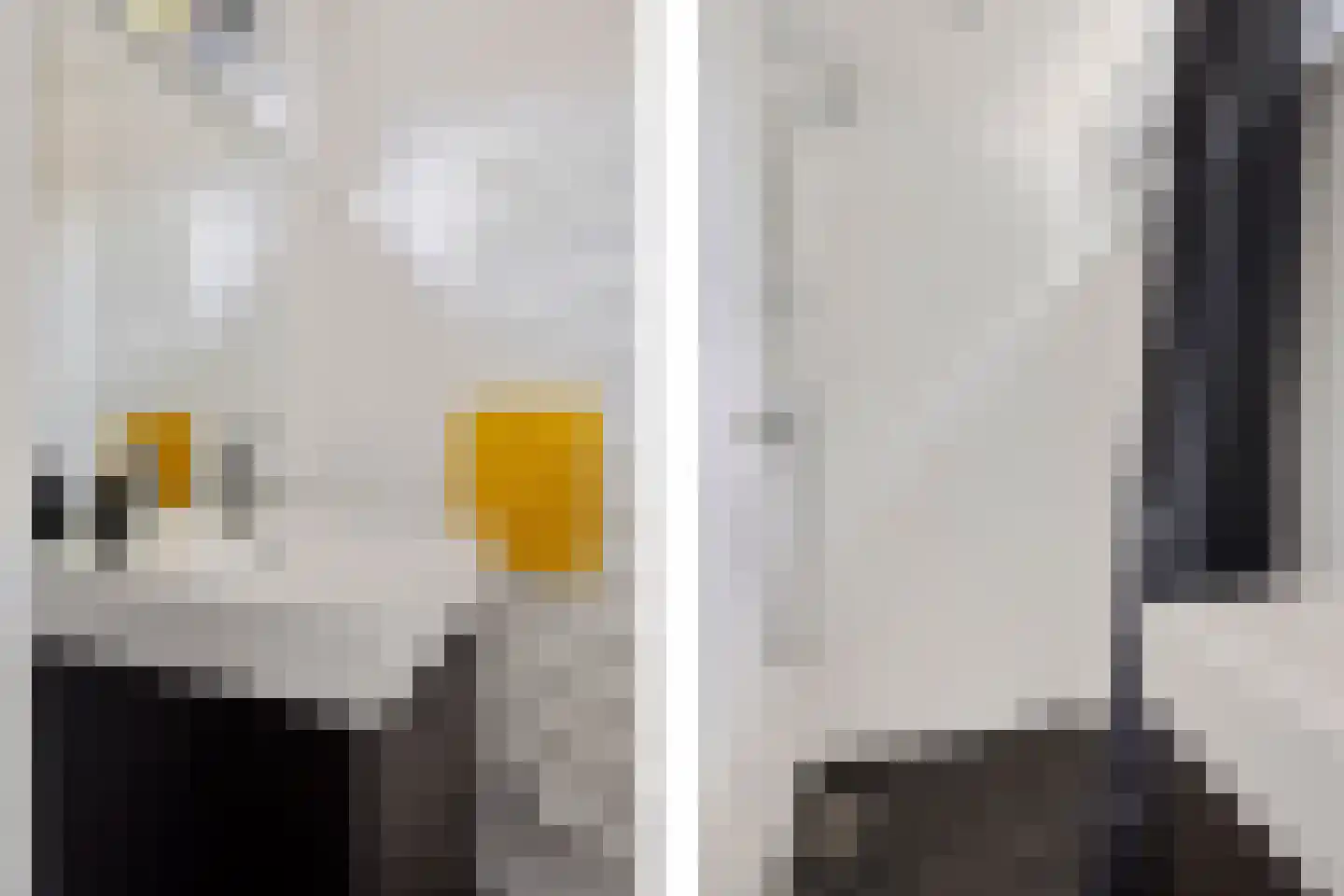 Gouwe 4 Assen thumbnail 25