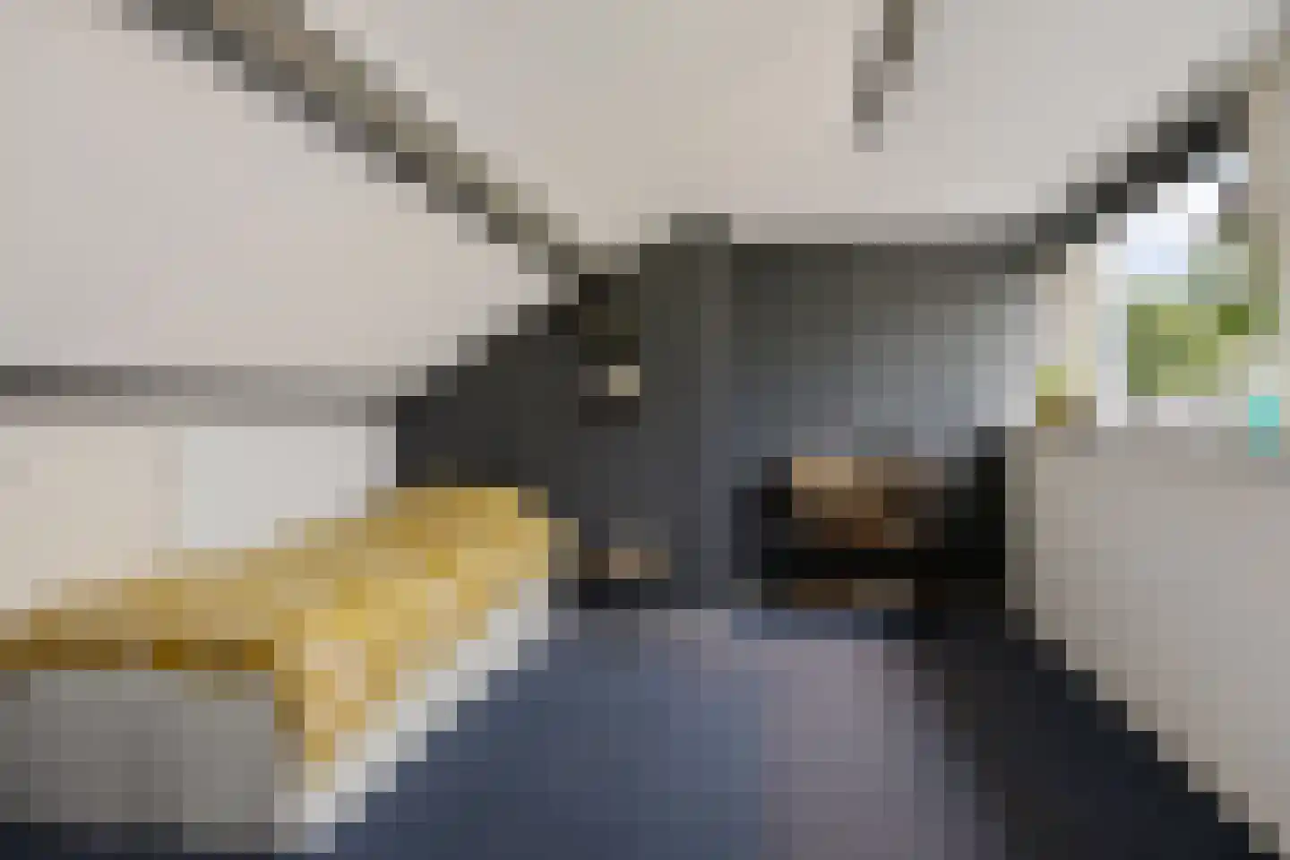 Gouwe 4 Assen thumbnail 29