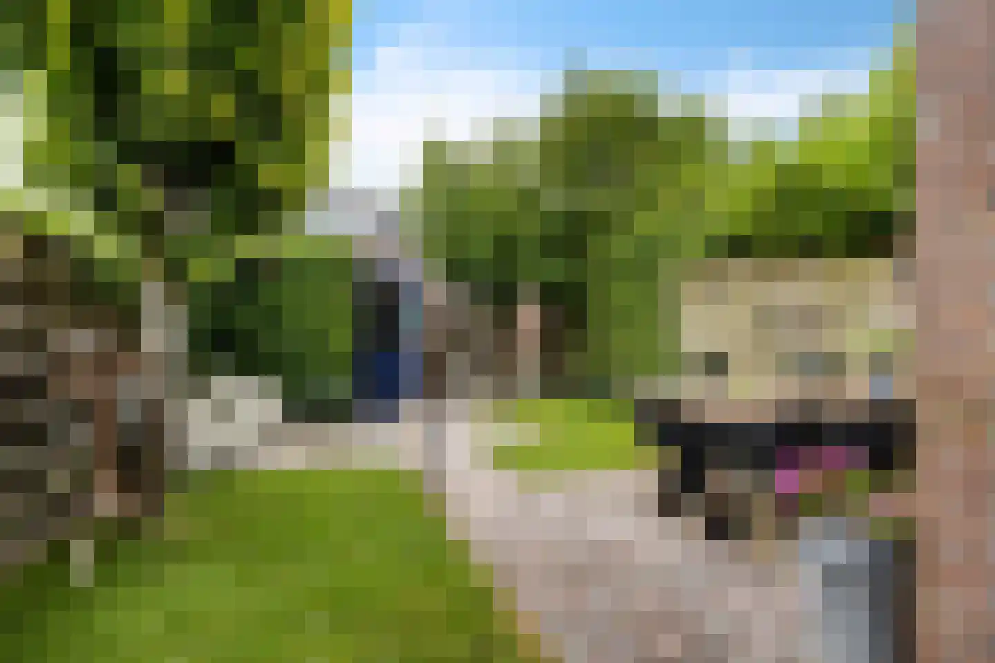 Gouwe 4 Assen thumbnail 32