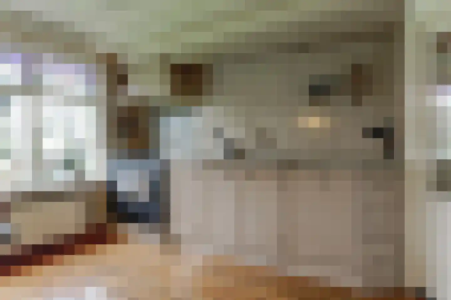 Gouwe 42 Hoogwoud thumbnail 12