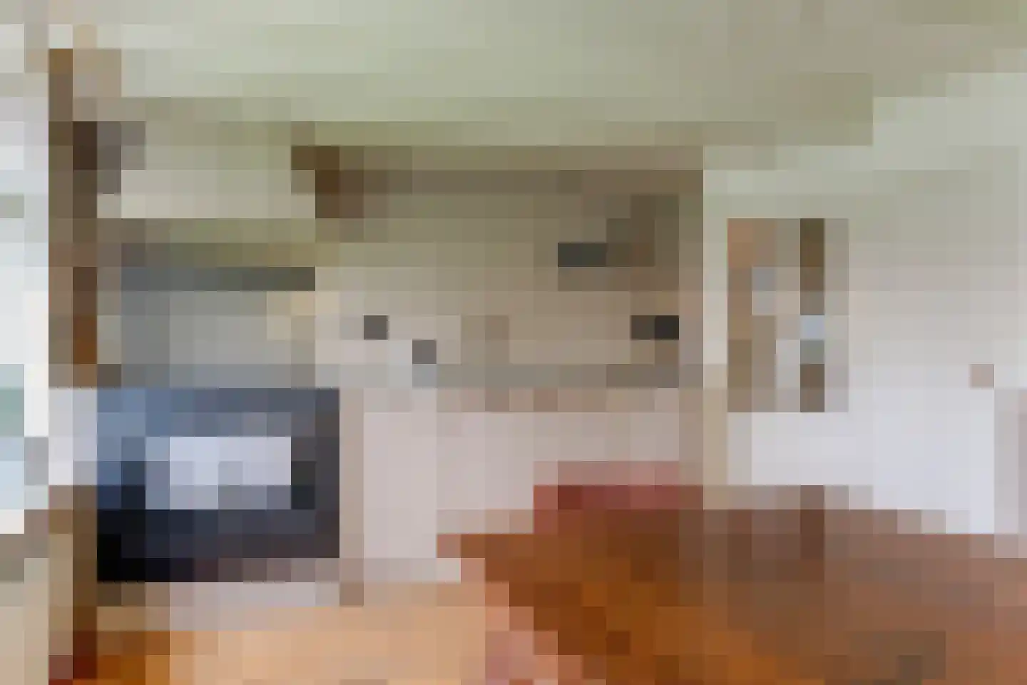 Gouwe 42 Hoogwoud thumbnail 13