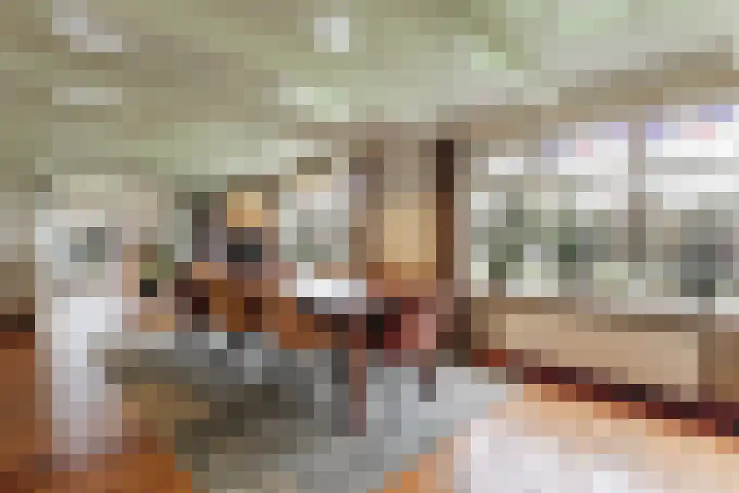 Gouwe 42 Hoogwoud thumbnail 14