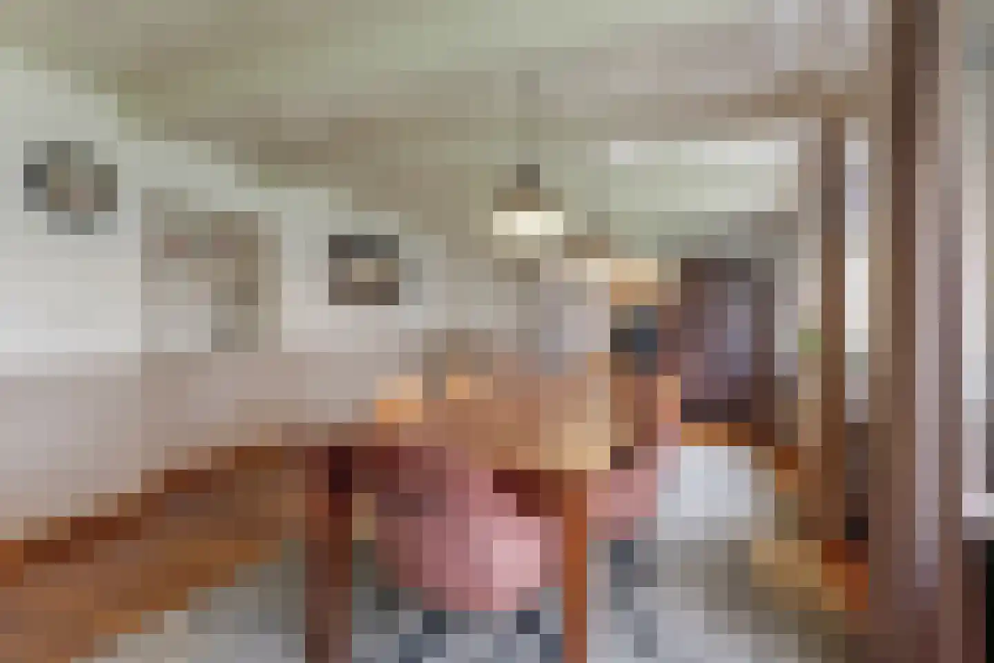 Gouwe 42 Hoogwoud thumbnail 15