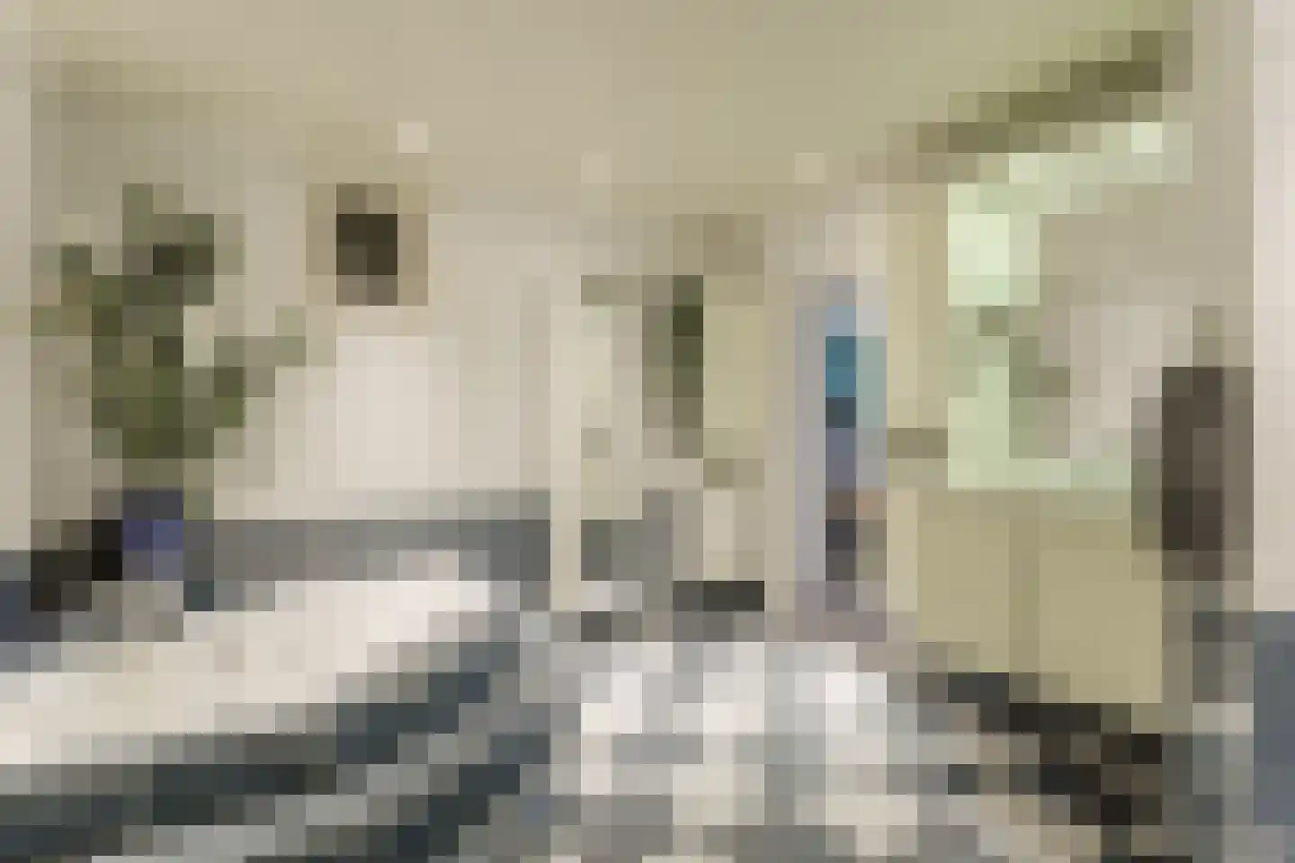Gouwe 42 Hoogwoud thumbnail 25