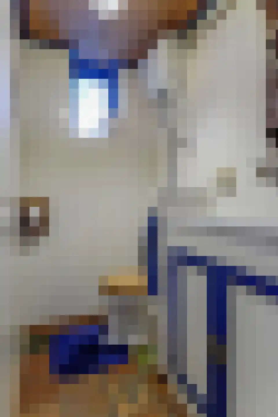 Gouwe 42 Hoogwoud thumbnail 33