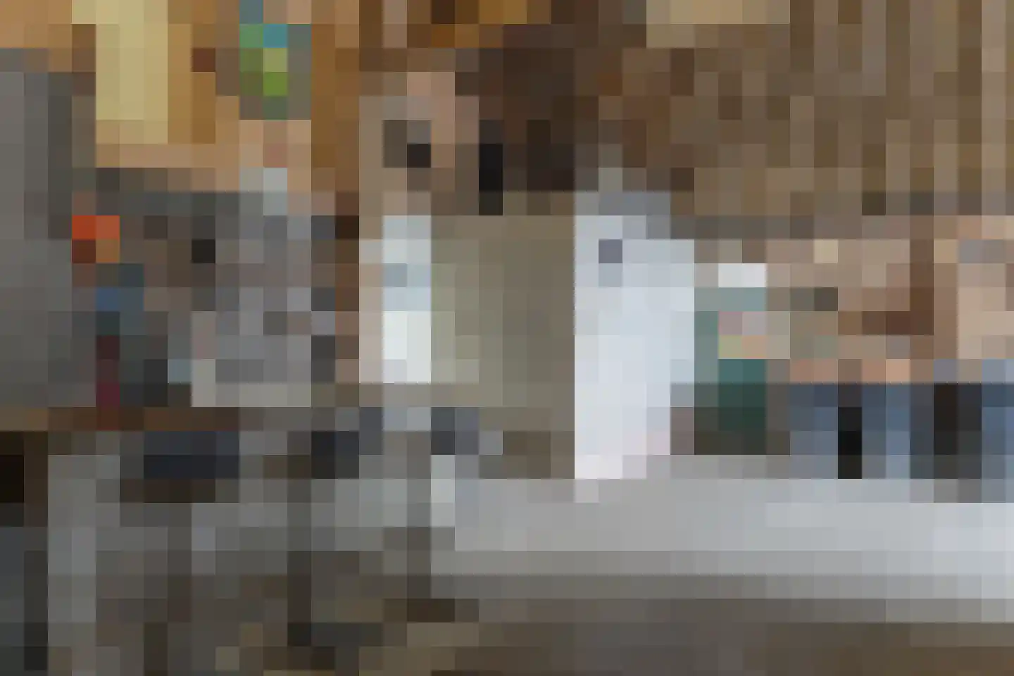 Gouwe 42 Hoogwoud thumbnail 37
