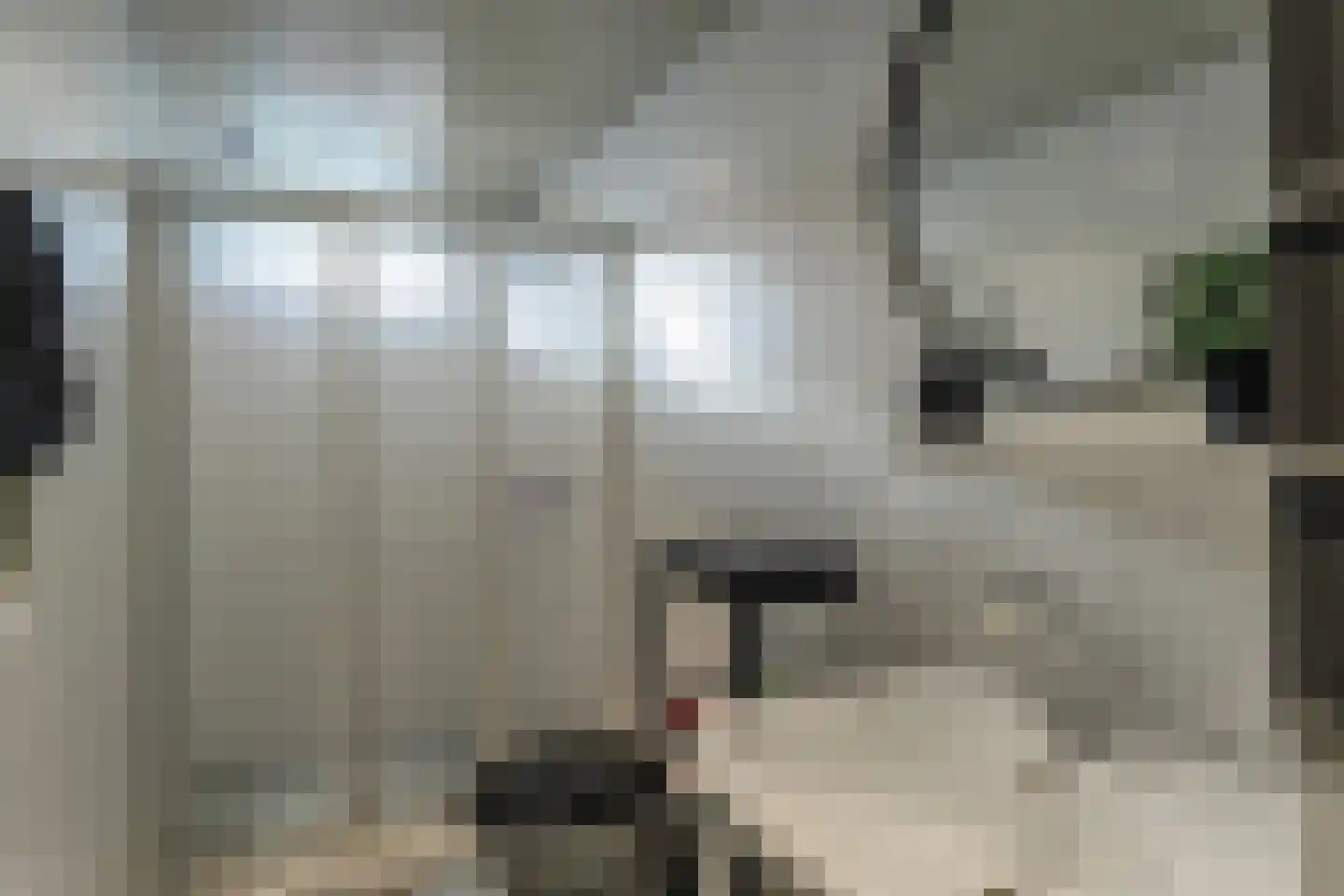 Gouwe 42 Hoogwoud thumbnail 42