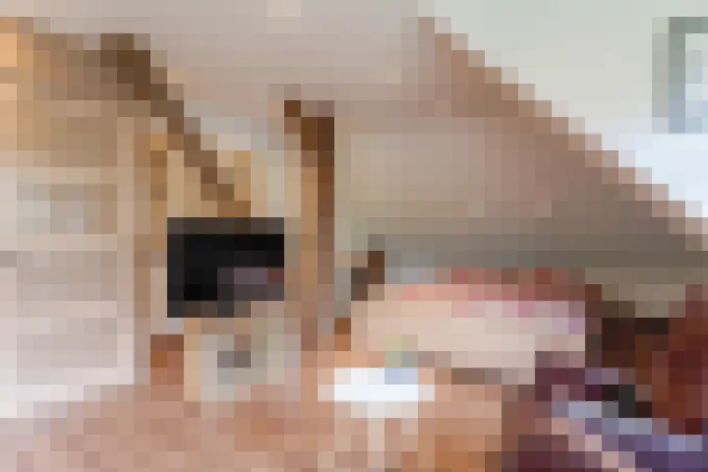 Gouwe 42 Hoogwoud thumbnail 54