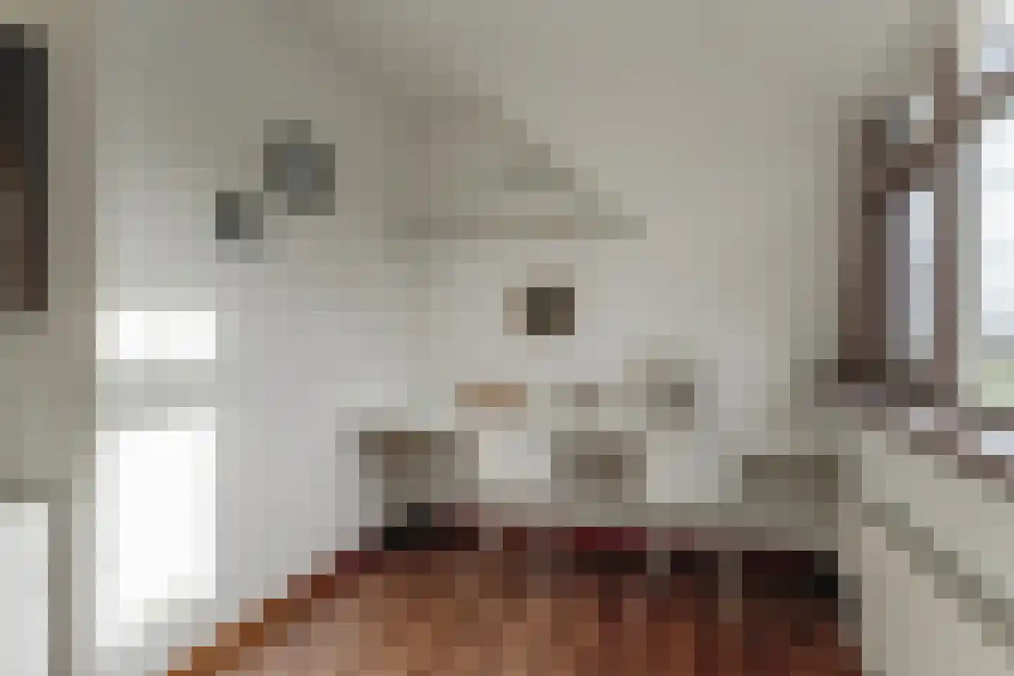 Gouwe 42 Hoogwoud thumbnail 63
