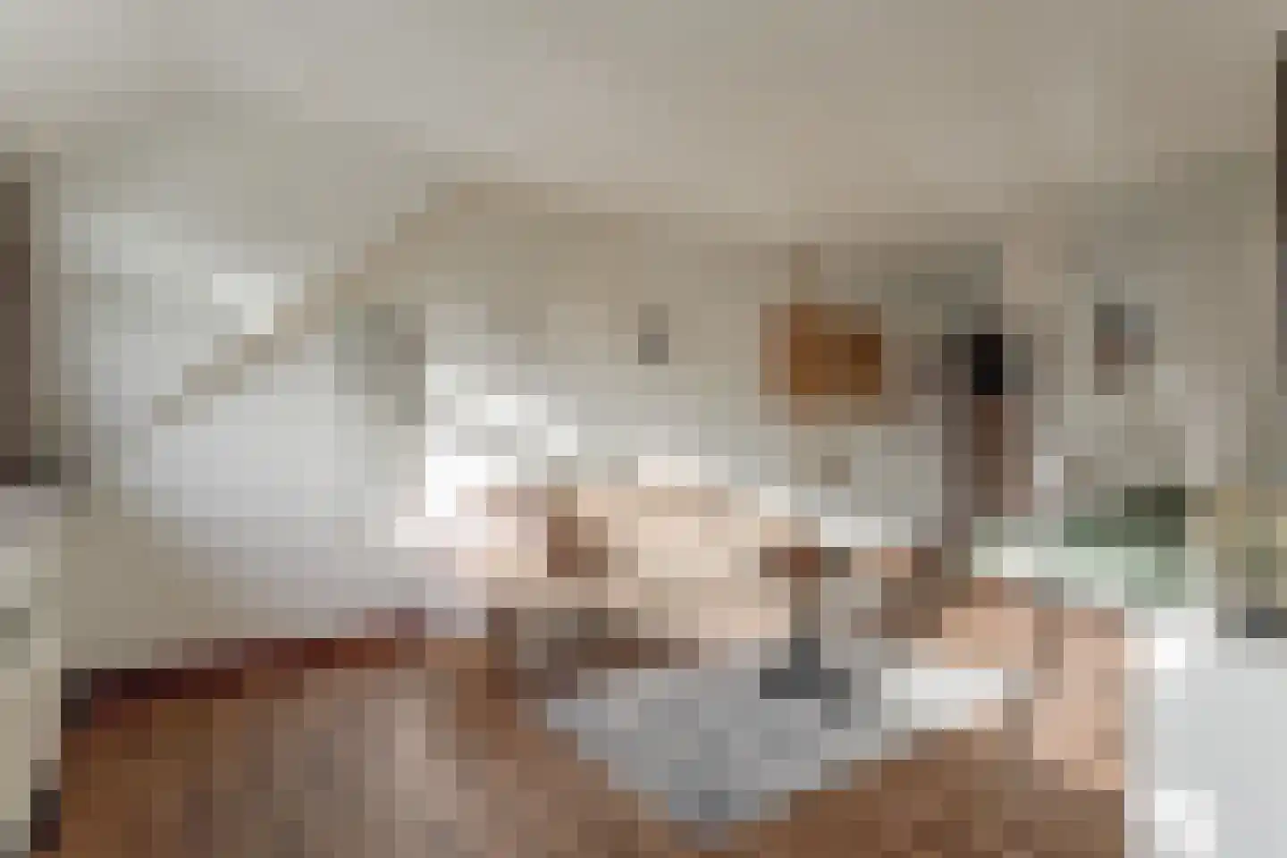 Gouwe 42 Hoogwoud thumbnail 64