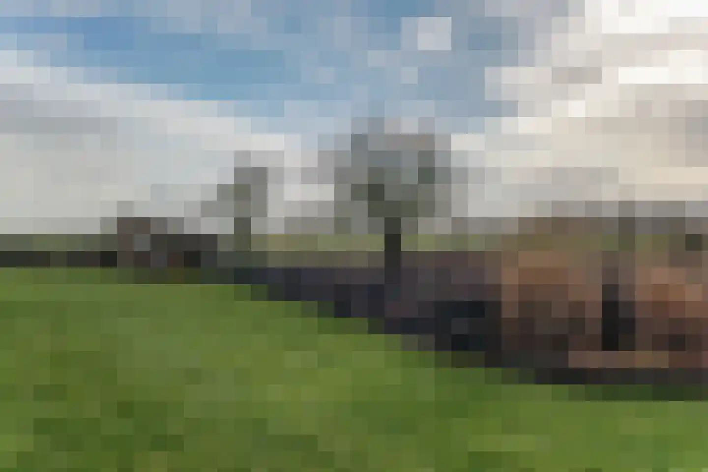 Gouwe 42 Hoogwoud thumbnail 70
