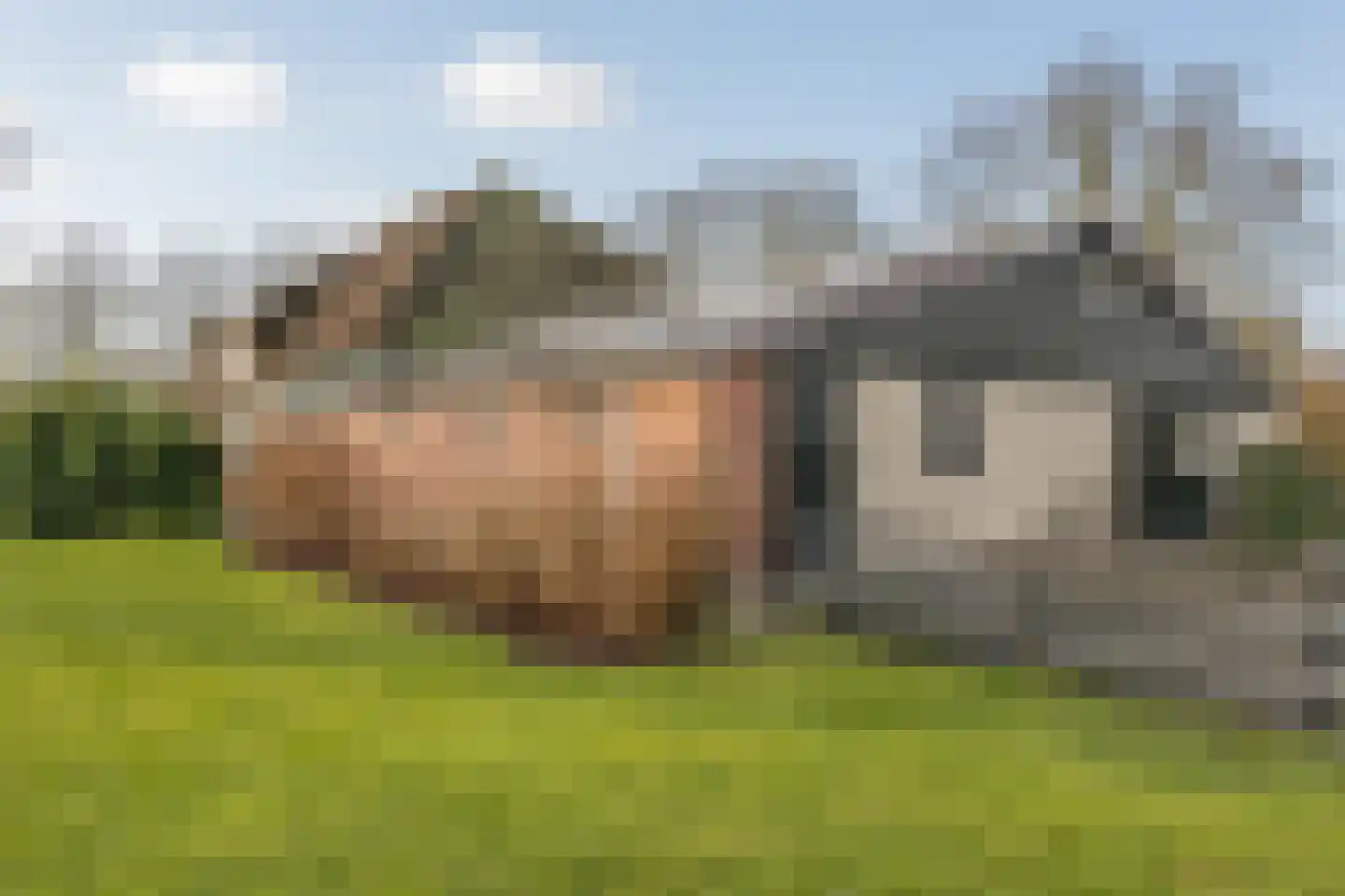 Gouwe 42 Hoogwoud thumbnail 73