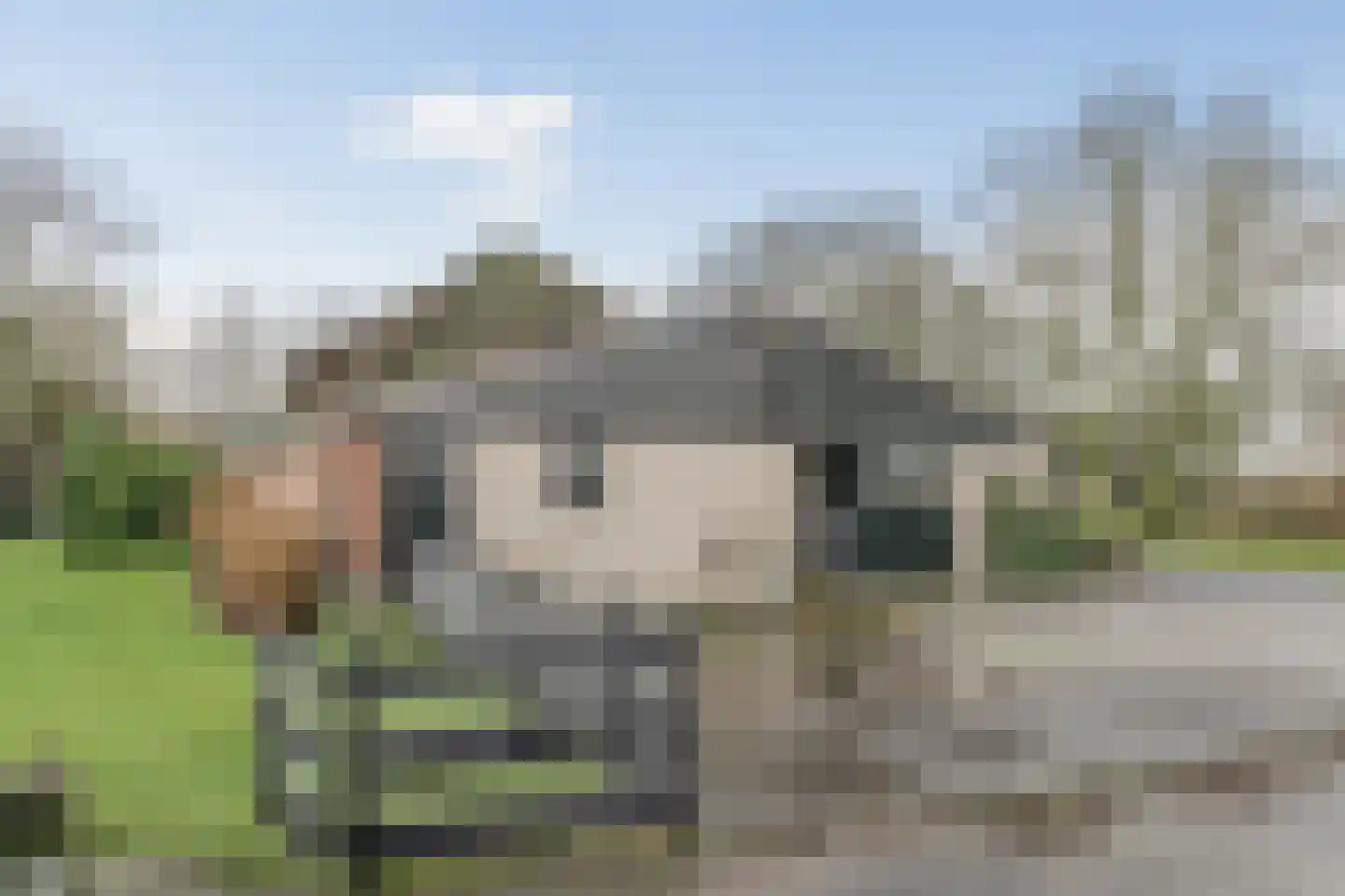 Gouwe 42 Hoogwoud thumbnail 74