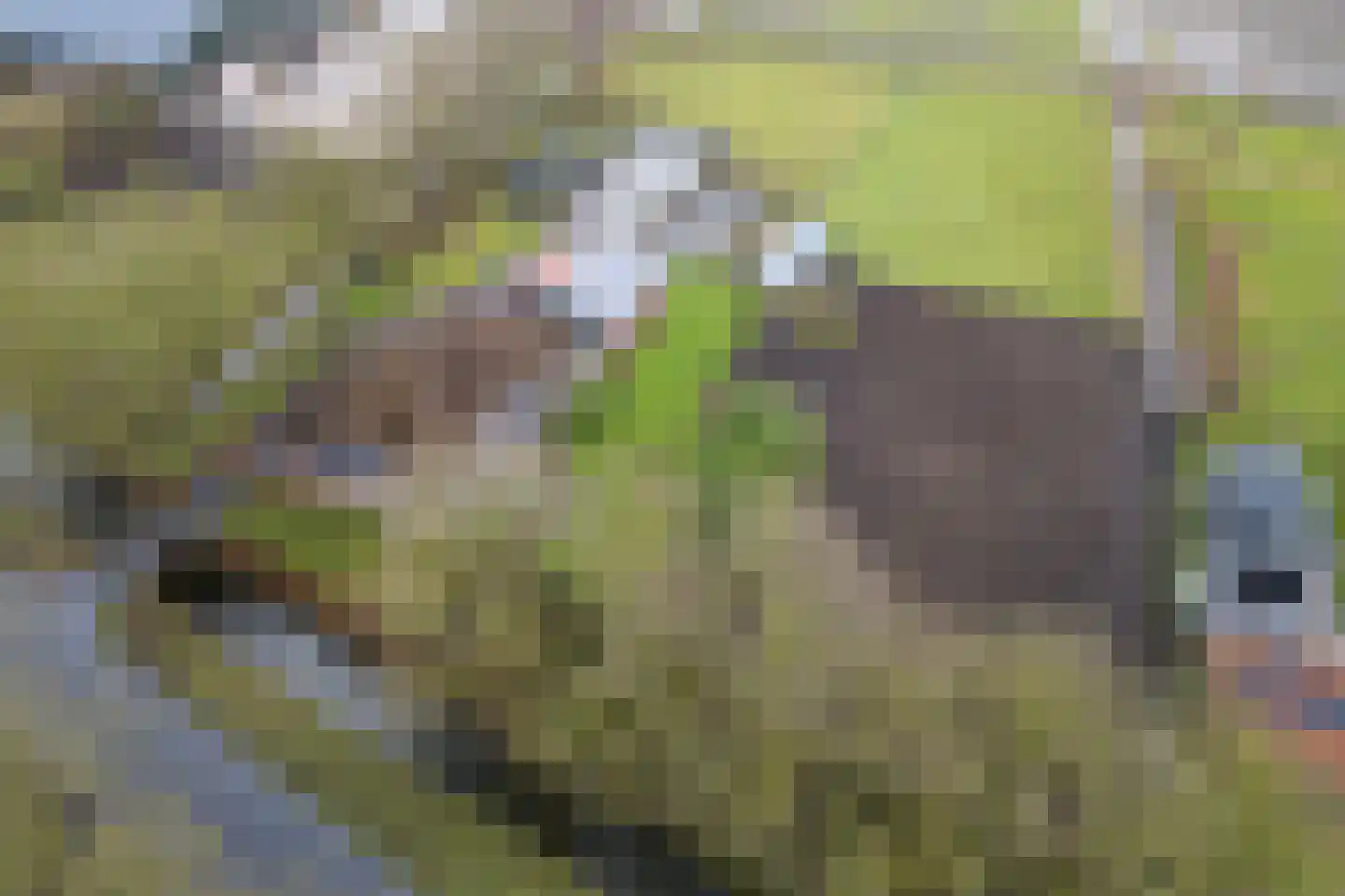 Gouwe 42 Hoogwoud thumbnail 82