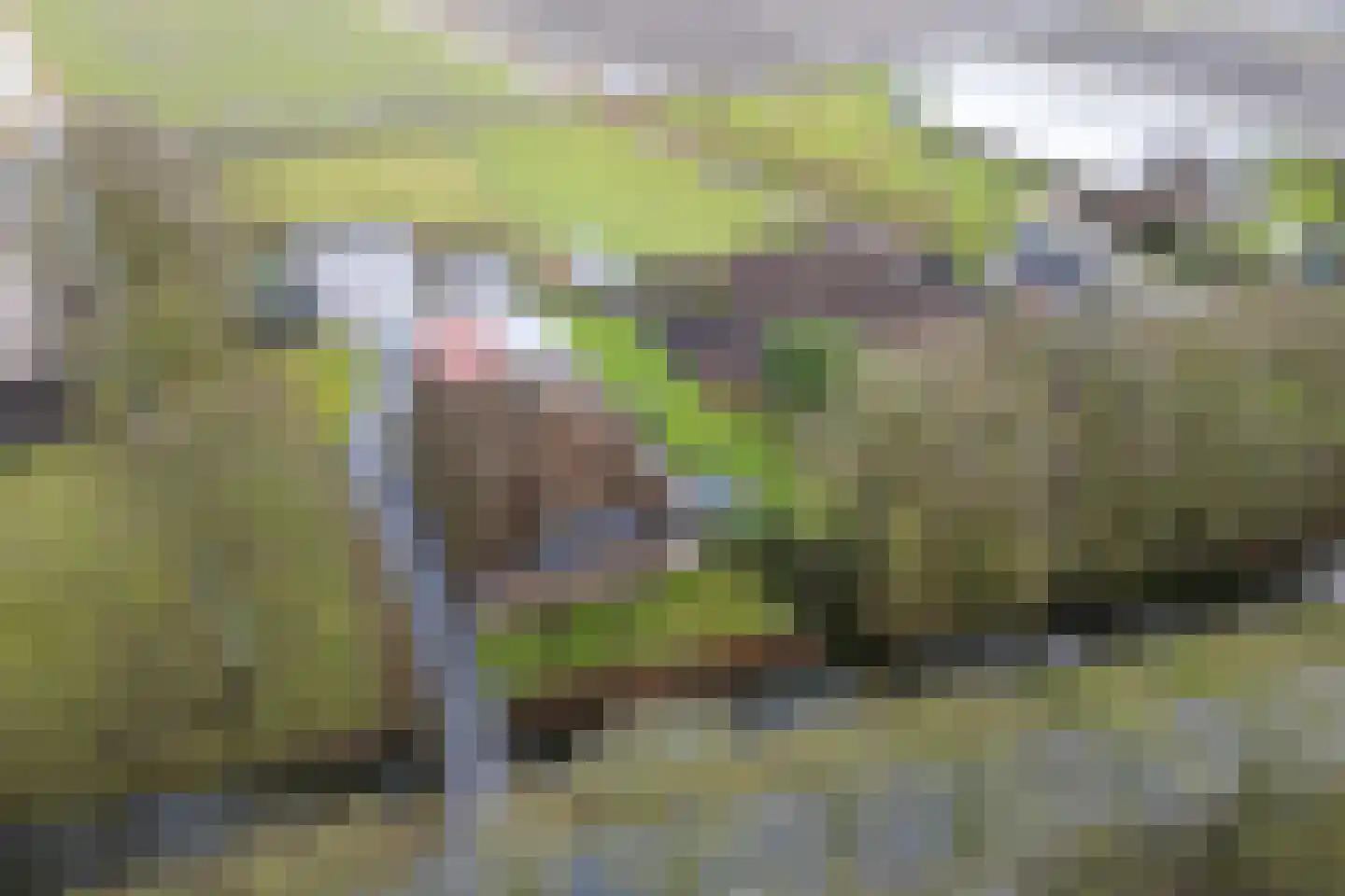 Gouwe 42 Hoogwoud thumbnail 83