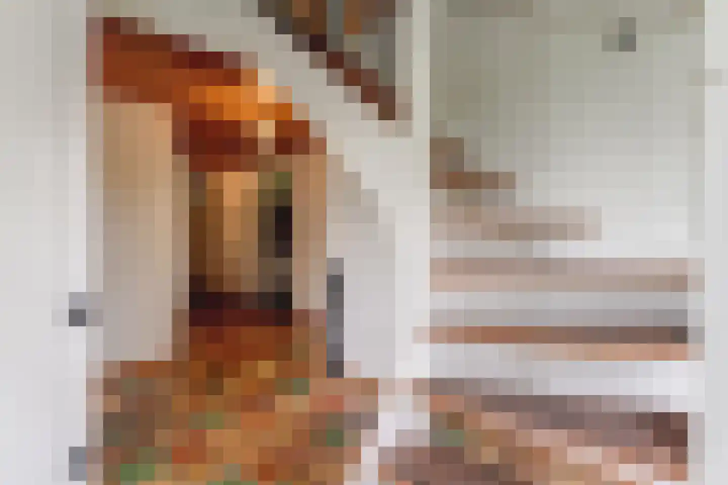 Gouwe 42 Hoogwoud thumbnail 9