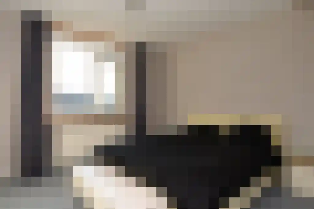 Gouwe 46 Huizen thumbnail 10