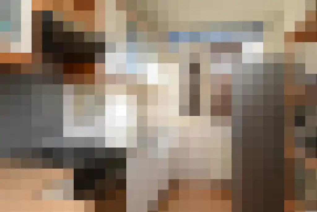 Gouwe 46 Huizen thumbnail 5