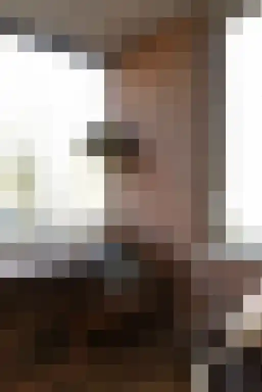 Gouwe 46 Huizen thumbnail 7