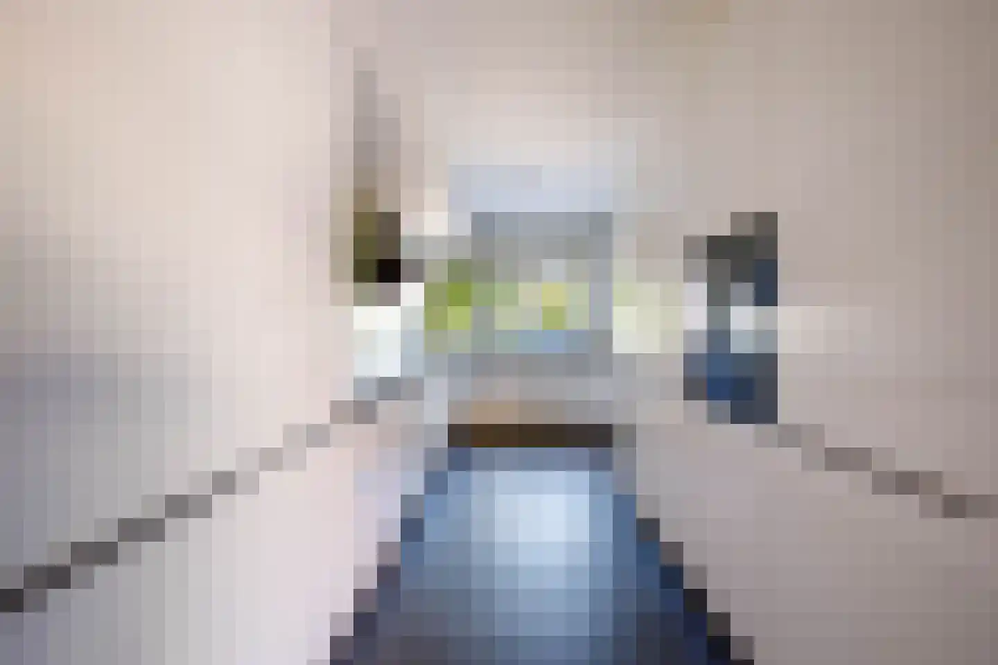 Gouwe 47 Nieuwerkerk aan den IJssel thumbnail 17