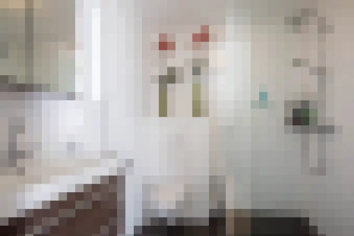 Gouwe 47 Nieuwerkerk aan den IJssel thumbnail 30