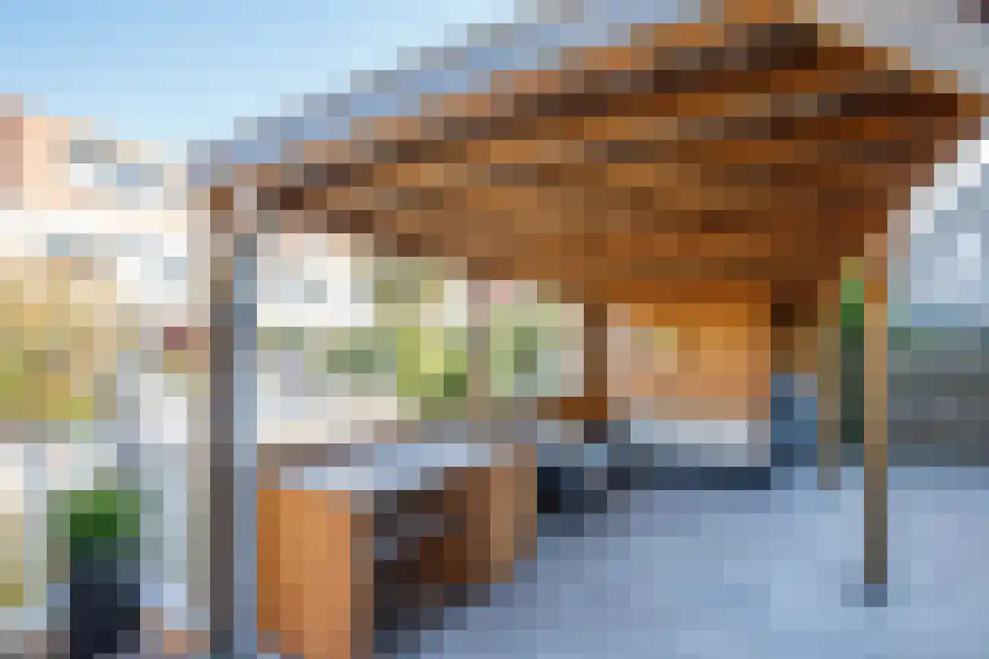 Gouwe 47 Nieuwerkerk aan den IJssel thumbnail 36
