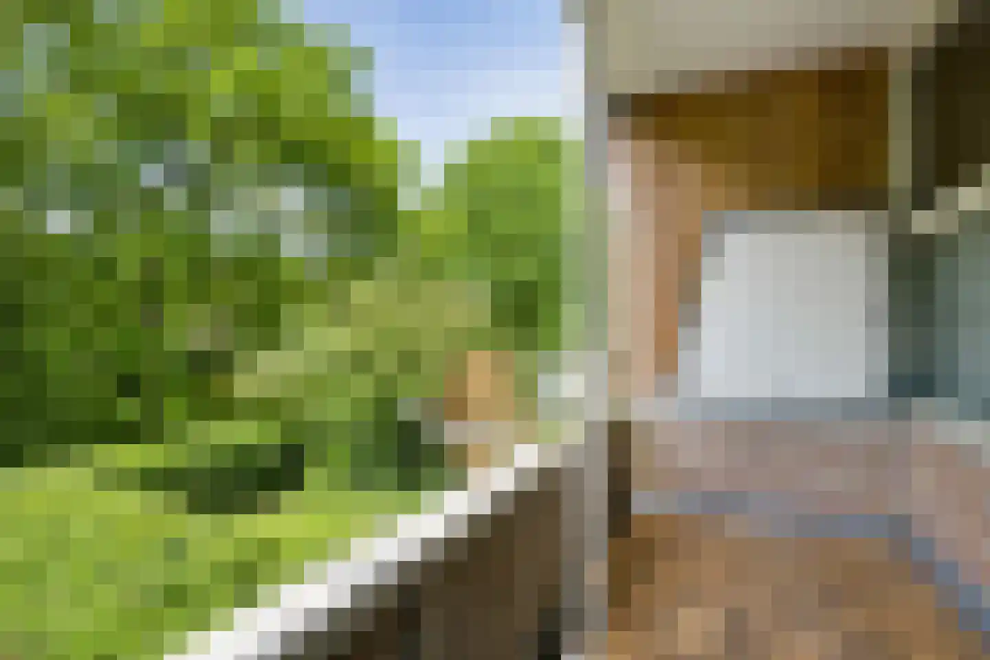 Gouwe 55 Assen thumbnail 16