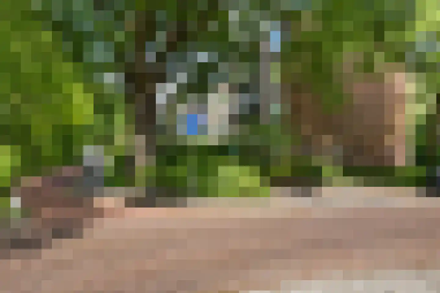 Gouwe 55 Assen thumbnail 26
