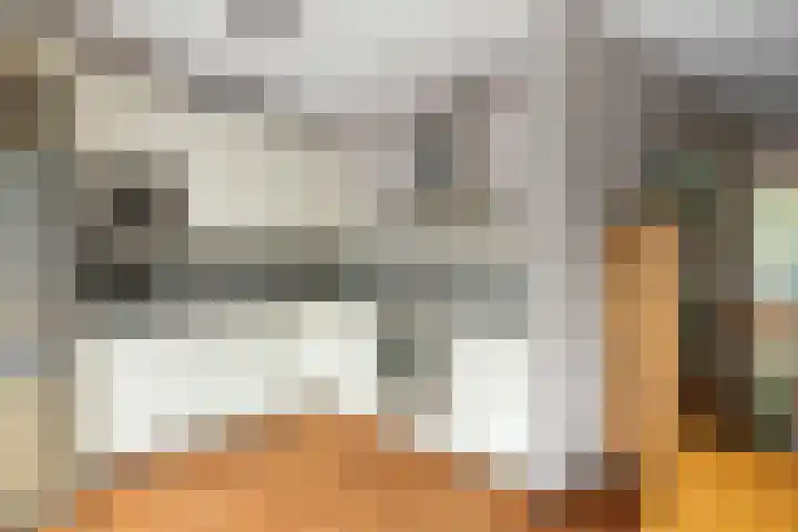 Gouwe 7 Nieuwerkerk aan den IJssel thumbnail 10