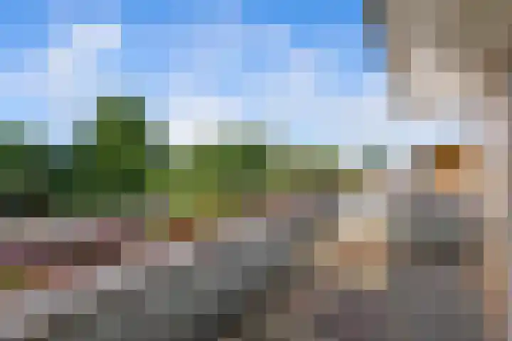 Gouwe 7 Nieuwerkerk aan den IJssel thumbnail 24