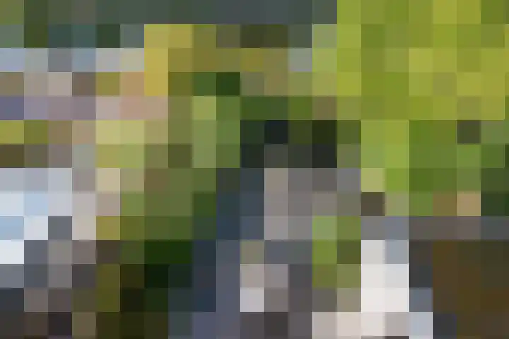 Gouwe 7 Nieuwerkerk aan den IJssel thumbnail 26