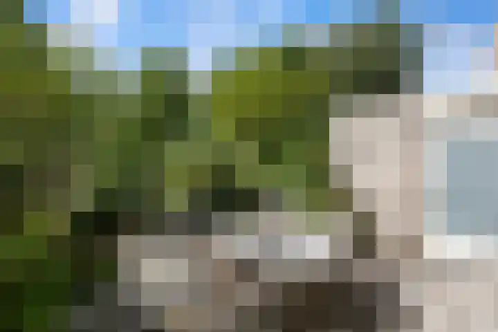 Gouwe 7 Nieuwerkerk aan den IJssel thumbnail 27