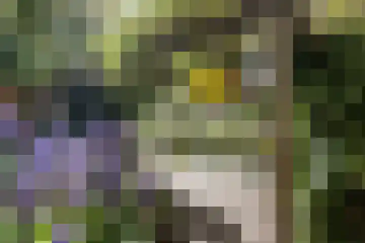 Gouwe 7 Nieuwerkerk aan den IJssel thumbnail 29