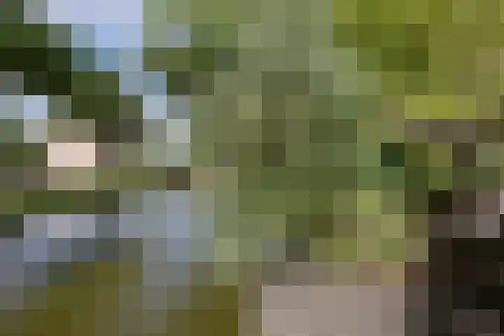 Gouwe 7 Nieuwerkerk aan den IJssel thumbnail 30
