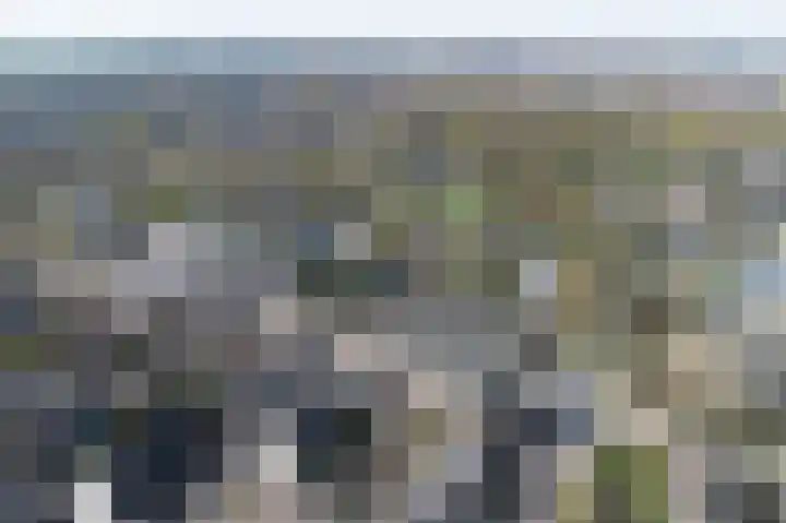 Gouwe 8 Barendrecht thumbnail 37