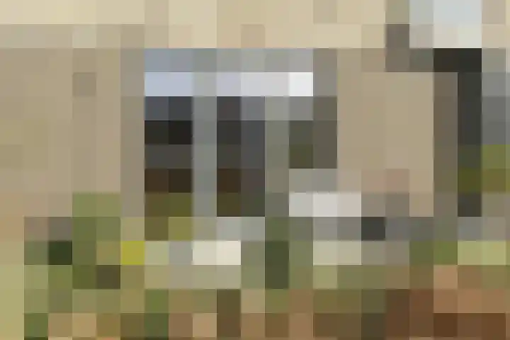 Gouwe 8 Barendrecht thumbnail 8