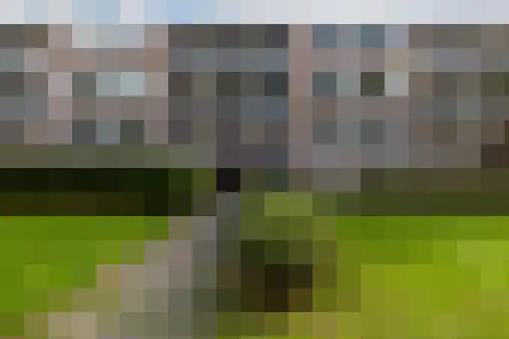 Gouwe 94 Assen thumbnail 6