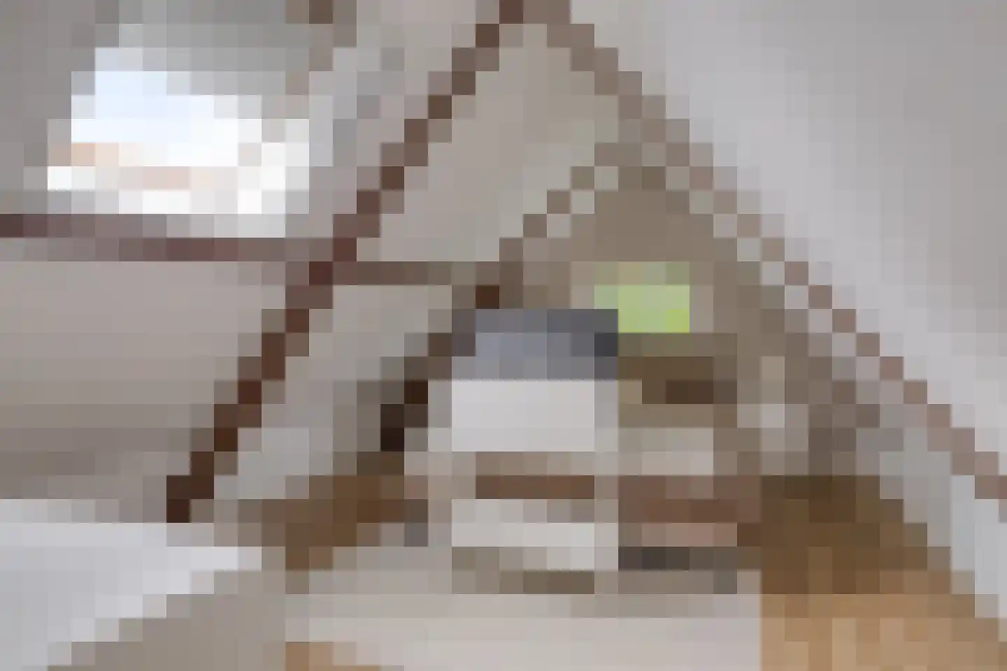Gouwekade 6 Alphen aan den Rijn thumbnail 19