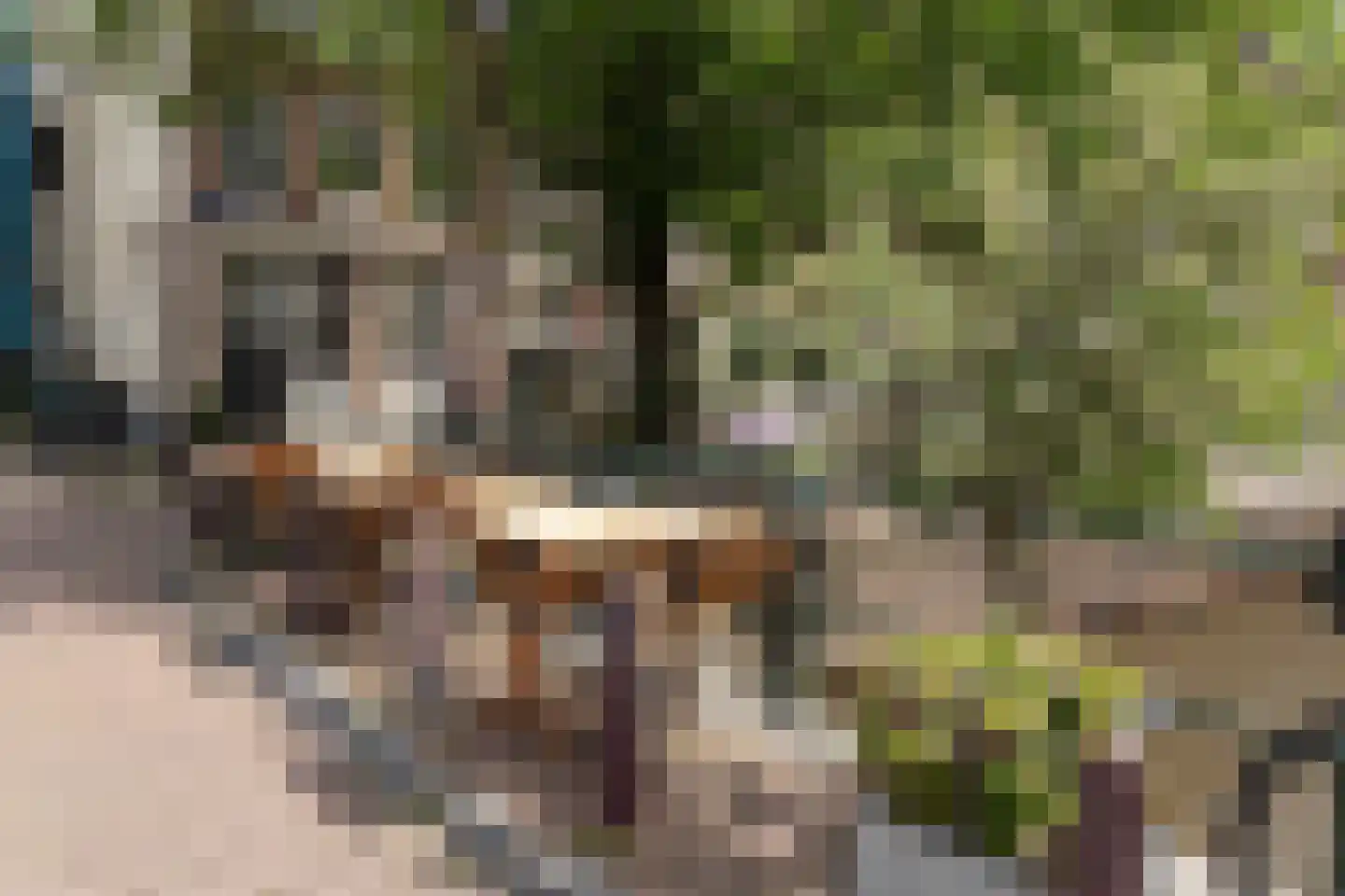 Gouwenaarssteeg 4 Amsterdam thumbnail 21