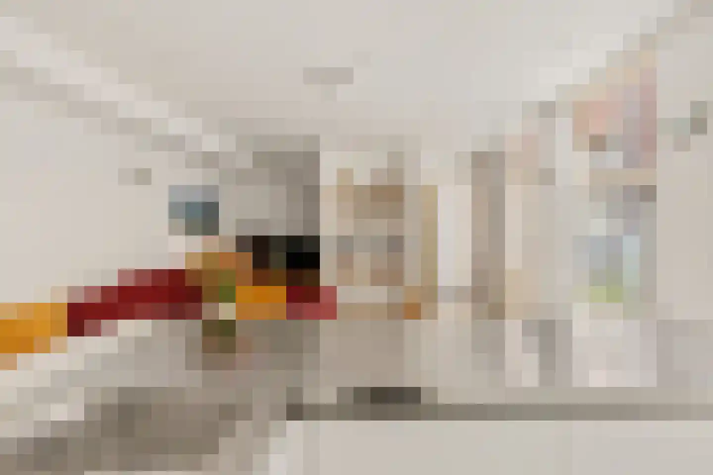 Gouwenaarssteeg 4 Amsterdam thumbnail 8