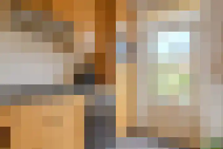 Gouwenstraat 5 Mook thumbnail 18