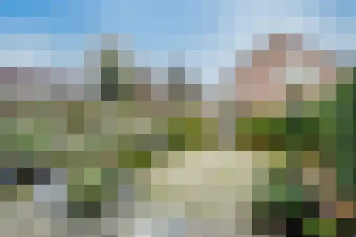 Gouwenstraat 5 Mook thumbnail 29