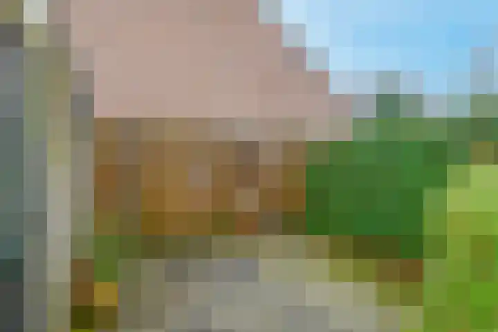 Gouwenstraat 5 Mook thumbnail 33