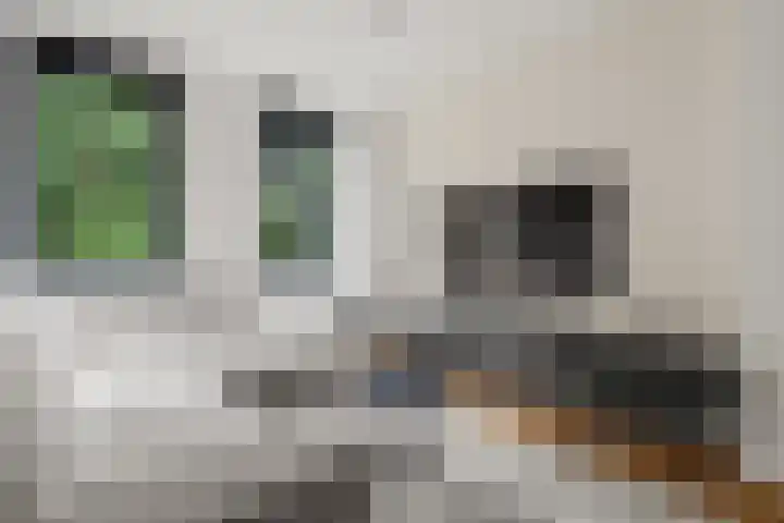 Gouwestraat 11 D Alphen aan den Rijn thumbnail 19