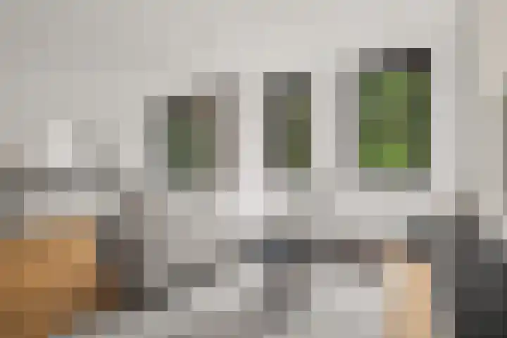 Gouwestraat 11 D Alphen aan den Rijn thumbnail 21