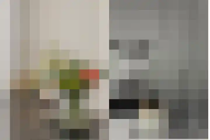 Gouwestraat 11 D Alphen aan den Rijn thumbnail 30